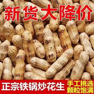 Traditional Roasted Peanuts