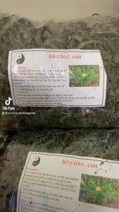 Lá Bồ Công Anh 1kg