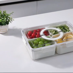 Divided Plate with Lid Food Storage Box Snack Box 4/8 Grid Snack Box Fruit Storage Box for Refrigerator Vegetable Fruit