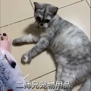 Maddie ของเล่น แมว หญ้าชนิดหนึ่งแมวของเล่นปลาจำลองแมววังฟาร์ม Mutianli แซวแมวติดด้วยตนเองเฮ้ต่อต้านสิ่งประดิษฐ์ที่น่าเบื่อ HTMPS00926