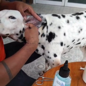 Wahl Pet Ear Cleaner 160ml - Pet Grooming Cleansing Pet Hygiene