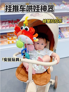 Baby Montessori Pull String Toys Sensory Toys for Toddlers Baby Toys 6 to 12 Months Baby Plush Hanging Rattle