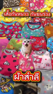 เสื้อสุนัข เสื้อแมว ผ้าสำลีลายการ์ตูน เนื้อดี อุ่นๆกันหนาว Size 1-14 (คละลาย)