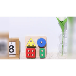 DRMN33 Mainan Edukasi Anak Puzzle Kayu Bentuk Geometri Montessori 16 Pcs Wooden Toys