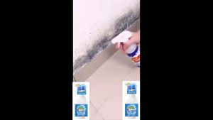 Semprotan Penghilang Jamur Dinding Semprotan Penghilang Jamur penghilang jamur super ampuh Pembersih Jamur Pembersih Pakaian penghilang jamur Spray Penghilang Jamur Dinding Spray Pembersih Jamur Dinding