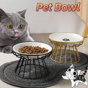 Ceramic Elevated Cat Bowl: A Durable & Comfortable Feeding Solution