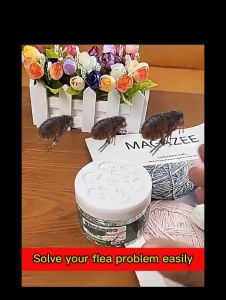 🐾No fleas within 1000 meters🐾 Safe and effective ubat kutu dan hama kucing cat flea killer anti flea medicine for dog cats ubat kuku kucing tick and flea medicine for dogs cat pet flea and tick repellent insect repellent 驱虫药 猫