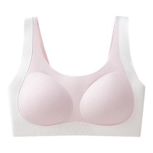 Miiow | Development Stage Sports Bra