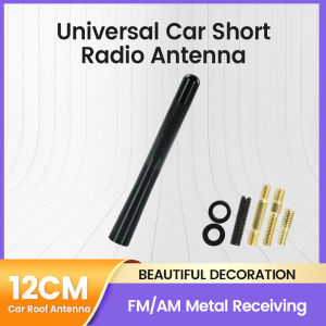 Car Short Radio Antenna MINI Fiber Black Car Roof Strong Antenna Radio Aerial FM/AM Metal Receiving Universal Car Accesssories