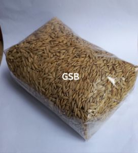 jual padi ketan hitam benih padi ketan beras hitam original