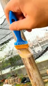 Jaysuing Lem Cat Anti Bocor Transparant Rembesan Air Waterproof Sealing Agent