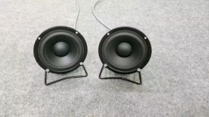 Loa Trung Trợ Lời Nghe Nhạc Karaoke Pioneer Mid 10 P8810