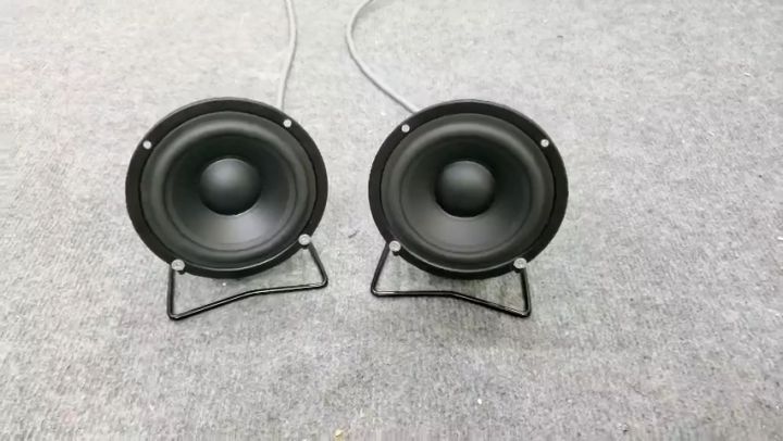 Loa Trung Trợ Lời Nghe Nhạc Karaoke Pioneer Mid 10 P8810 | Lazada.vn