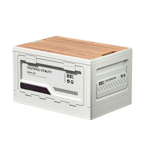 ZHIFAN | Collapsible Thick Multi-purpose Car Trunk Storage Box