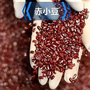 赤小豆 怯湿 利尿 消肿 Adzuki Beans (175g)
