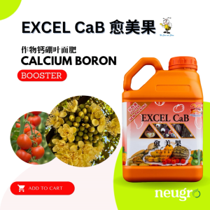 Brightonmax Excel CaB (5L) Baja Foliar Nutrien Calcium Boron Magnesium Meningkatkan Kualiti Buah 愈美果 钙硼镁 提升果实质量