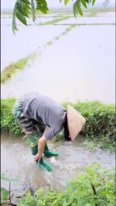 Ủng Liền Quần Làm Ruộng cao cấp 2 Lớp Ủng Đi Mưa Làm Bếp Làm Vườn Bảo Hộ Lao Động