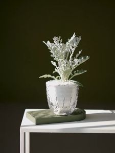 กระถางดอกไม้ดูดซับตัวเอง เรียบง่ายและมีสไตล์ กระถางต้นไม้ และรดน้ำได้อัตโนมัติ แบบใส