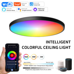 Tuya WiFi Smart Ceiling Light 220V RGB Dimmable Ceiling Light Bluetooth Round Ceiling Lamp Smart Home Light Support Alexa Google