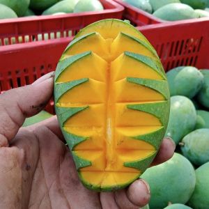 mangga lalujiwo per 1kg