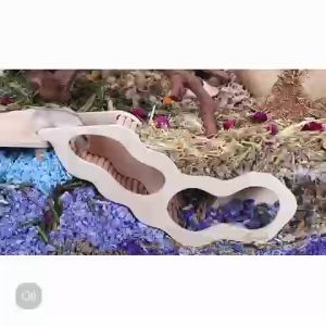 NIteangel Hamster Tunnel Peephole Hideout Hamster Tunnel Hamster Dwarf Syrian House Hamster Jomtheone 艾特鼠偷窥隧道玩具金丝熊侏儒地下挖掘躲避屋管道大