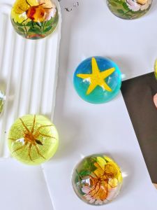 ตัวอย่างผีเสื้อพลาสติกแท้ ตัวอย่างสัตว์ขนาดเล็กในambre แมลง ยุง จั๊มปี้ งานฝีมือทำมือ อุปกรณ์ตกแต่งบ้านสไตล์ยุโรปเหนือ