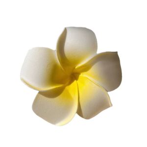 กิ๊บติดผมรูปดอกไม้ไผ่ชายหาด ตกแต่งผมชายหาด ดอกไม้ ดอกไม้ไผ่ชายหาด กิ๊บติดผม หน้าม้า ตกแต่งผม รูปดอกไม้ไผ่ชายหาด