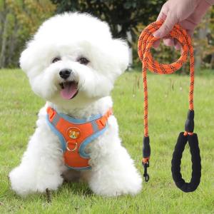 YIZHIBING | Chest Harness Vest Dog Leash