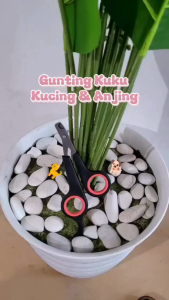 Gunting kuku kucing dan anjing