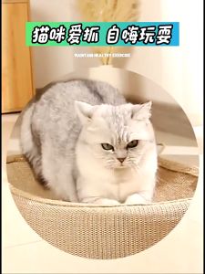 2Style Cat Scratching Board Cat Grinding Scratcher Pad Oval Round Sisal Cat Scratcher Bed Cakar Kucing