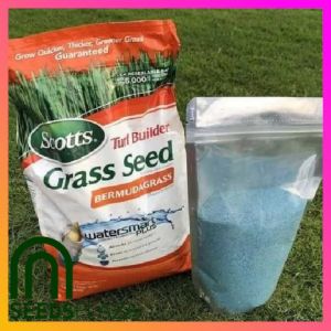 SeedsPLAZA™ - Bermudagrass Scotts® Turf Builder® Grass Seeds (+/- 100 Seed) + Planting Instruction for Bermuda Grass