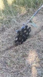 ใบขุดเซาะร่องดิน 2 นิ้ว หนา 3.2 มม.