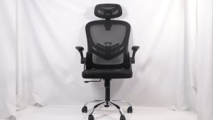 เก้าอี้ Ergonomic สำนักงาน บางสี หรือล่าสุด สุขภาพ ลดการปวด รับประกันสินค้า 1 ปี ที่รองรับเอวปรับได้ เบาะนิ่ม นั่งสบาย - Deli