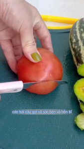 Dao Gọt Trái Cây Gấp Gọn Inox Sắc Bén - Dao Gọt Hoa Quả Du Lịch