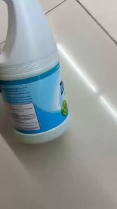 Zonrox Disinfectant Bleach 1/2  Gallon/1892ML