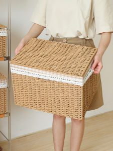 CHENHUA | Rattan-style Simple Storage Box