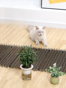 Chống Mèo Giày Đế Kim Cương Dây Rốn Dẹt Thảm Chống Chó Thảm Chống Mèo Thảm Chống Chó Chống Mèo Chống Chó Mèo Giày Đế Kim Cương