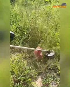 ใบตัดหญ้า ใบเลื่อยวงเดือน ตัดกิ่งไม้ ตัดต้นข้าว 10"x 40 ฟัน ฟันคาร์ไบด์แท้