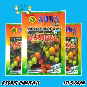 BIBIT BENIH TOMAT TAHAN VIRUS HANDAL F1 ISI 5 GRAM AURA SEED SETARA SERVO GUSTAVI F1 CAP PANAH MERAH