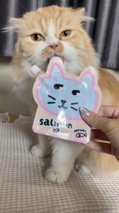 Royal Craft น้ำมันแซลมอน "แพคเกจใหม่ น่ารัก" Salmon oil เกรด Premium บำรุงสวยฟูนุ่ม ช่วยให้กินเก่งขึ้น สำหรับสุนัขและแมว
