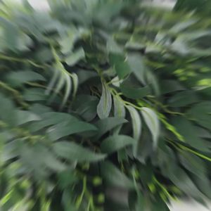 1/5PCS Artificial Green Plant Fake Willow Leaf Flower Arrangement Accessories Wedding Home Christmas Decoration Fake Flowers