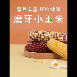 【READY-STOCK】Hamster Mini molar corn small corn 🌽 golden bear rabbit molars baby corn small corn Jagung Hamster🌽 仓鼠磨牙玉米