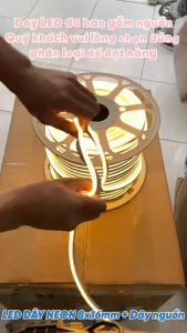 COMBO 5 MÉT  DÂY ĐÈN NEON 1 MẶT LOẠI 220V SIZE 8*16 ĐÃ CÓ NGUỒN (Chuyên dùng chạy đường line  hắt trần  trang trí ngoại cảnh  tạo hình )