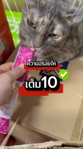 ถูกและดี ครีมแมวเลีย ขนมแมว Catit 4รสชาติ สูตร Grain-free organic creamy super smooth cat treat