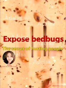 One bottle eliminates 10000 bed bugs killer spray Imported from Australia IR-002 Fast -efficient and non -toxic bug legit surot mabisang pampatay ng pamatay sa mites remover organic dust anti repellent goodbye pang gamot