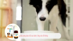 ElecAmin DB Bổ Sung Các Vitamin Thiết Yếu Và Acid Amin Dinh Dưỡng Ăn Ngon Cho Chim Vẹt Chó Mèo