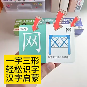 幼儿象形识字卡 识字启蒙 趣味识字 轻松记住300常用字 幼小衔接基础 思維 導圖 象形识字 识字 识字卡 字卡