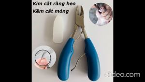 Kềm cắt móng chân cứng mọc ngược  Kìm Răng Lợn Kìm Cắt Nanh Cho Heo Con bằng thép không gỉ Bấm Nanh Cắt Móng Chân Tay