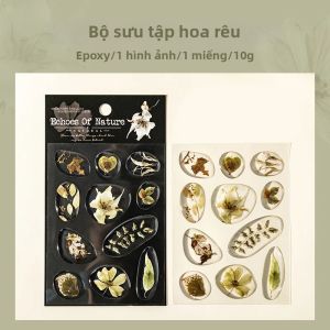 Mr.paper | 1 Tấm Hoa Khô Ép 3D Trong Suốt Epoxy Miếng Dán Trang Trí Cho Thủ Công DIY Sổ Lưu Niệm Gói Quà Quà Sinh Nhật