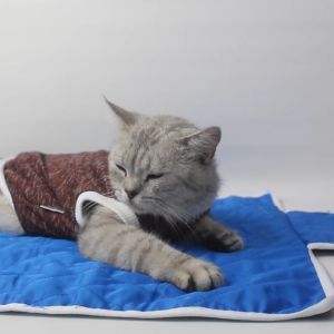 Alas Tidur Kasur Karpet Anjing Kucing - Bukipet Paw Sleeping Mat